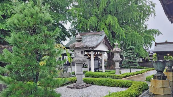 坂東33観音 08番 星谷寺 雨天の境内 坂東33観音 08番 星谷寺 雨天の境内 星谷寺,妙法山,参道の写真素材