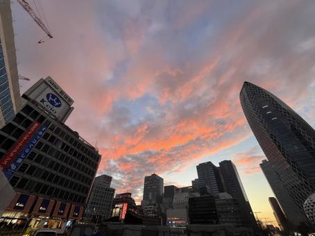 新宿の空は蛍光オレンジ2 新宿の空は蛍光オレンジ2 新宿,街並み,夕方の写真素材