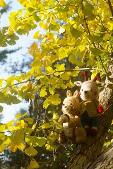 仲良し　銀杏の木 あみぐるみ,森,リスの写真素材