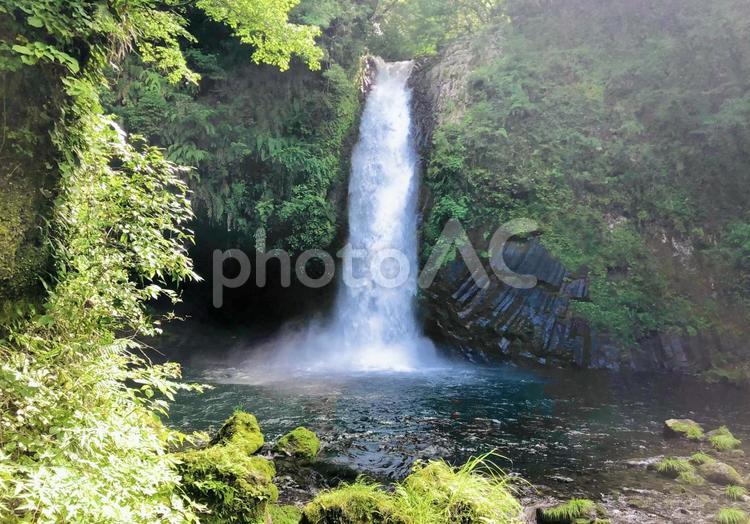 浄蓮の滝 日本,静岡,伊豆の写真素材