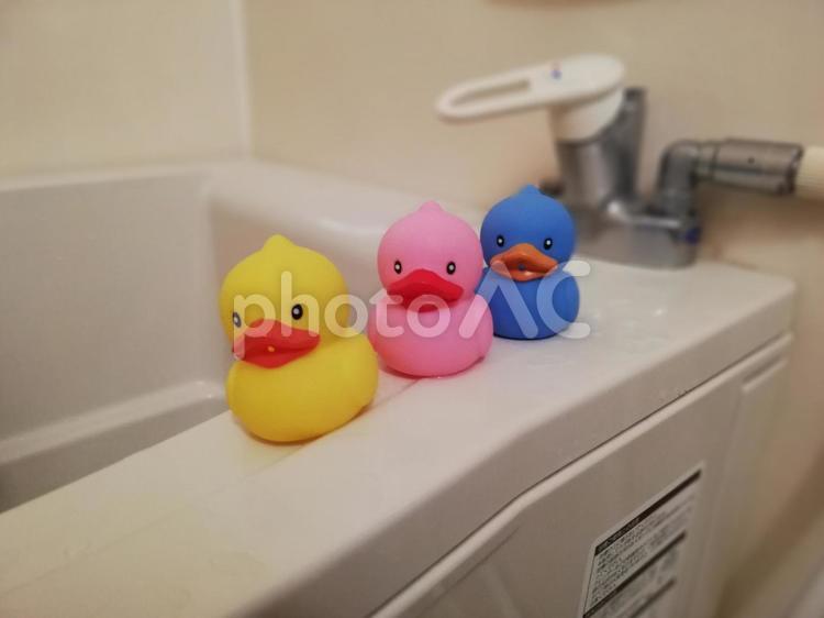 お風呂のアヒル 屋内で,部屋,何人もありませんの写真素材