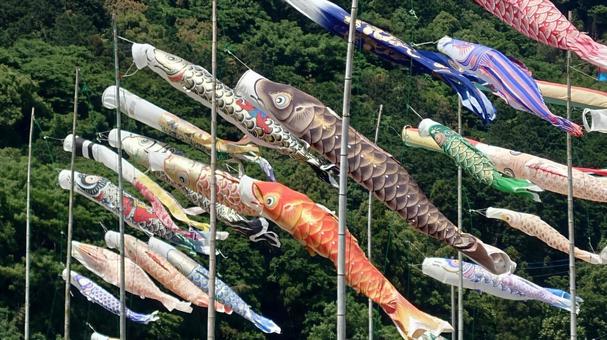 Photo, boys' festival, carp streamer, children's day, 