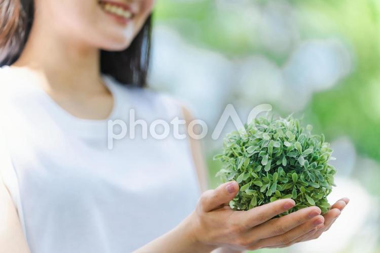 植物を持つ日本人女性（顔なし） 地球,エコ,サステナブルの写真素材