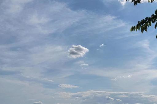 見沼の空と雲 見沼の空と雲の写真
