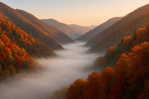 朝霧満つ紅葉峡 朝霧満つ紅葉峡の写真