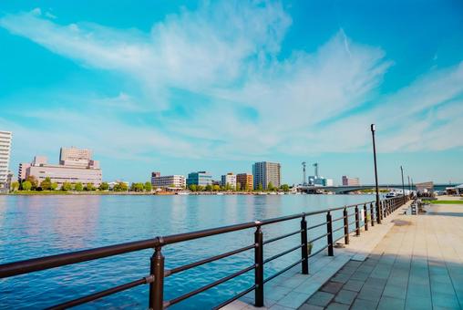 【新潟】川沿いから眺める信濃川 【新潟】川沿いから眺める信濃川の写真