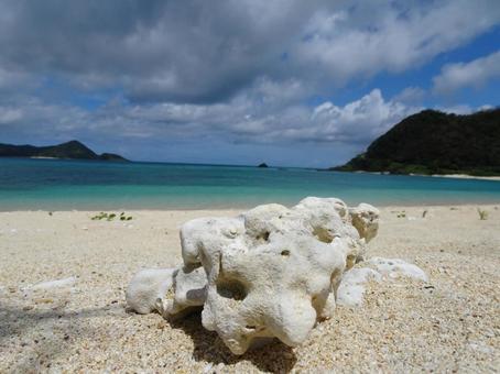 海 海の写真