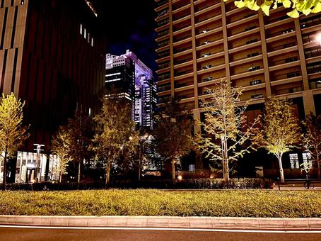 夜の都市の緑 都市,都会,夜の都市の緑の写真素材