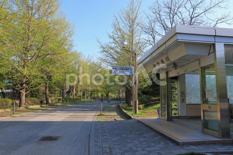 地下鉄中島公園駅の出入口(公園直結) 札幌,地下鉄,駅の写真素材