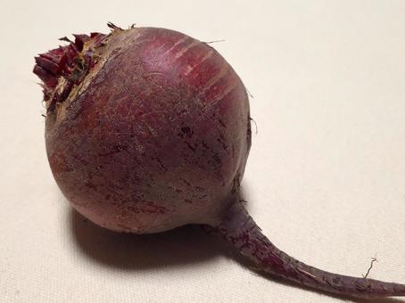 収穫されたビーツ 収穫されたビーツの写真