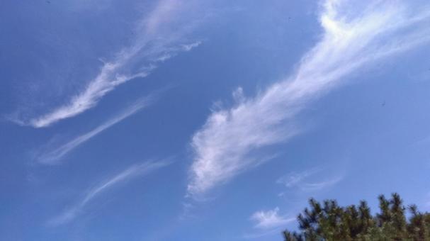 龍雲 龍雲 龍雲,青空,空の写真素材