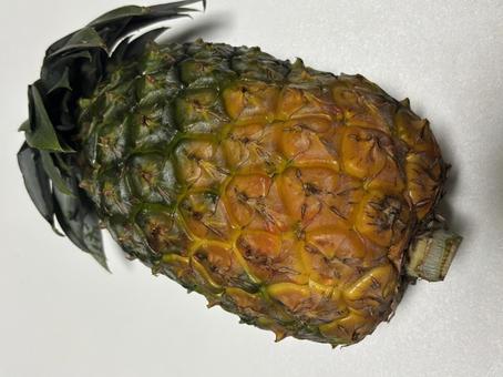 パイン パイン パイナップル,果物,フルーツの写真素材