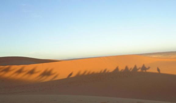 砂漠の道 砂漠の道の写真