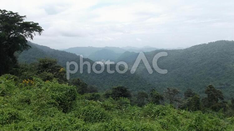 カオヤイ（タイの高原・避暑地）の風景 カオヤイ,タイ,高原の写真素材