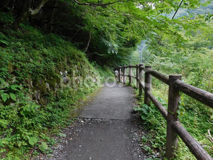 夢のつり橋、寸又峡 夢のつり橋,隧道,探索の写真素材