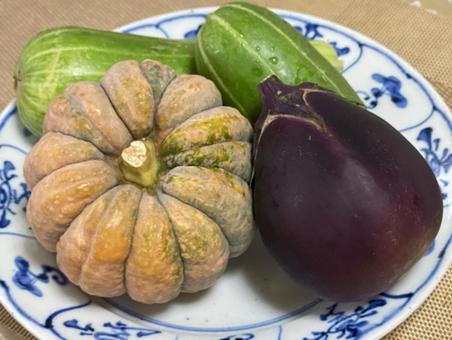 なにわの伝統野菜盛り なにわの伝統野菜盛りの写真