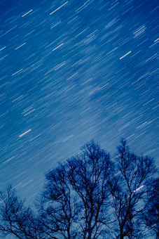 森の木々と星の軌跡_縦 森の木々と星の軌跡_縦 星,軌跡,夜空の写真素材