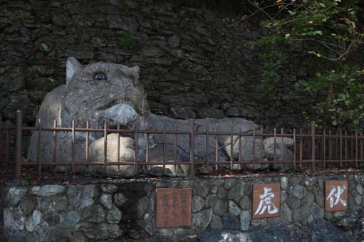 Photo, wakayama city, wakayama castle park, wakayama prefecture, 