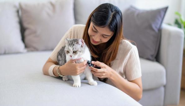 猫の爪切りをする飼い主の女性 猫の爪切りをする飼い主の女性の写真