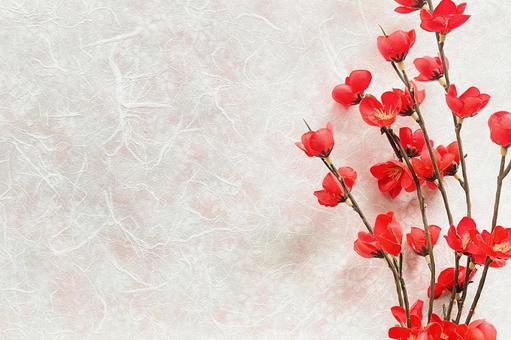 年賀状 年賀状,年賀素材,正月の写真素材