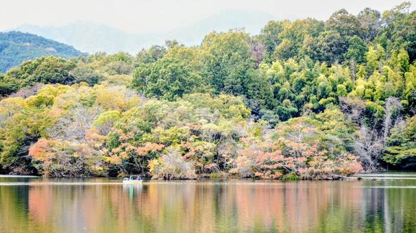 一碧湖の紅葉の写真