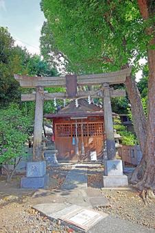 鮫洲八幡神社(品川) 鮫洲八幡神社(品川) 鮫洲八幡神社,旧村社,総鎮守の写真素材