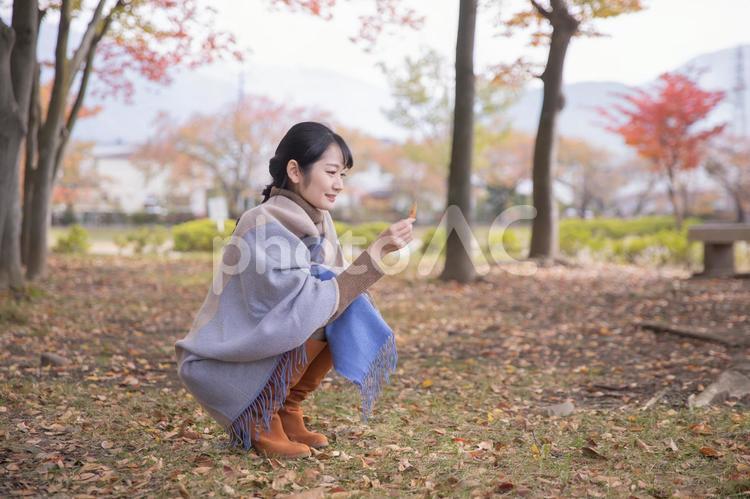 紅葉狩り・秋の訪れを感じる女性 紅葉,秋,女性の写真素材