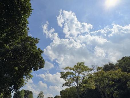 夏の終わりの空の雲 夏の終わりの空の雲の写真