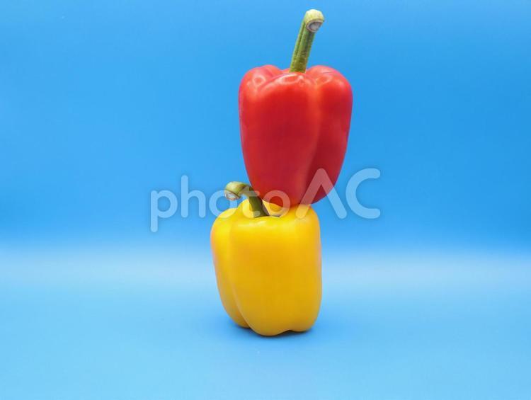 パプリカ 202204 (17) 食材,食品,食料の写真素材