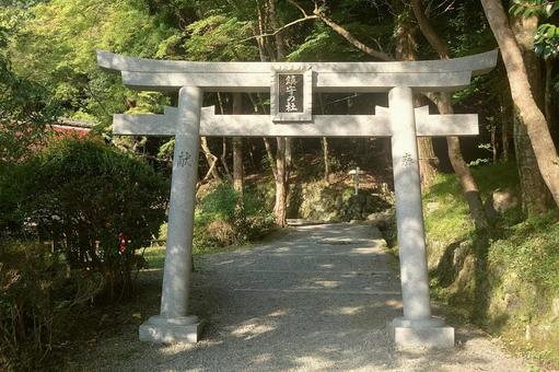 京都府-出雲大神宮-鎮守の杜-鳥居 京都府-出雲大神宮-鎮守の杜-鳥居 出雲大神宮,神社,丹波国の写真素材