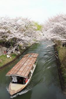 伏見十石舟 河川,町並み,風景の写真素材
