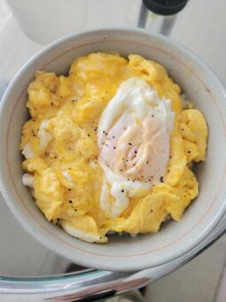 卵丼 202507 (1) 卵丼,たまご丼,卵の写真素材