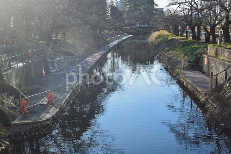 富山の景色　松川べり① 富山,富山市,とやまの写真素材