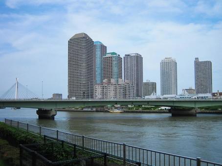 佃大橋とビル群 佃大橋とビル群 隅田川,佃島,佃大橋の写真素材