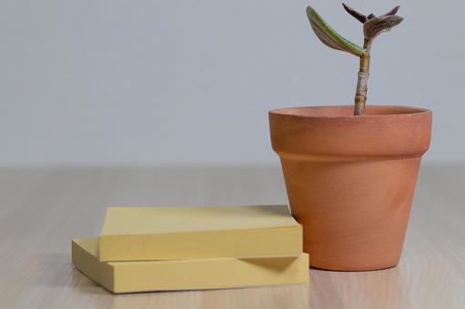 テラコッタ鉢の植物と付箋が置かれたデスク テラコッタ鉢の植物と付箋が置かれたデスク 観葉植物,テラコッタ,鉢の写真素材