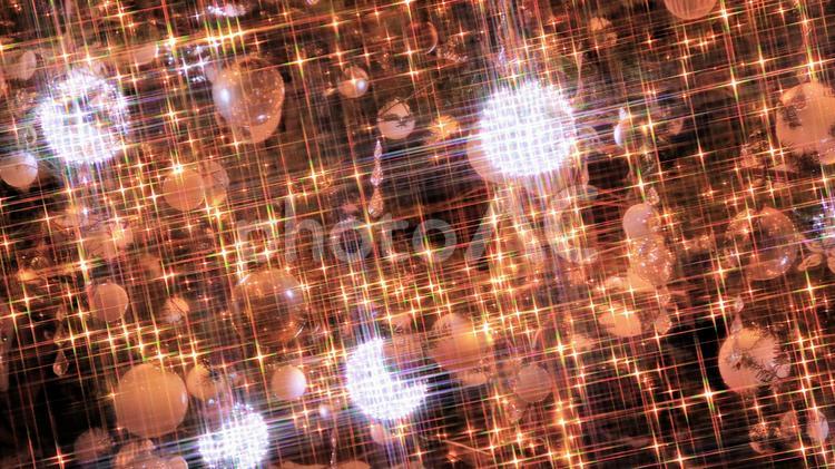 冬のイルミネーション　2024　47 クリスマス,イルミネーション,クリスマスツリーの写真素材