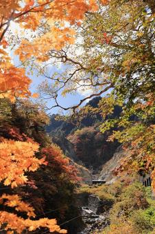 紅葉の姥湯温泉 秋,山,風景の写真素材