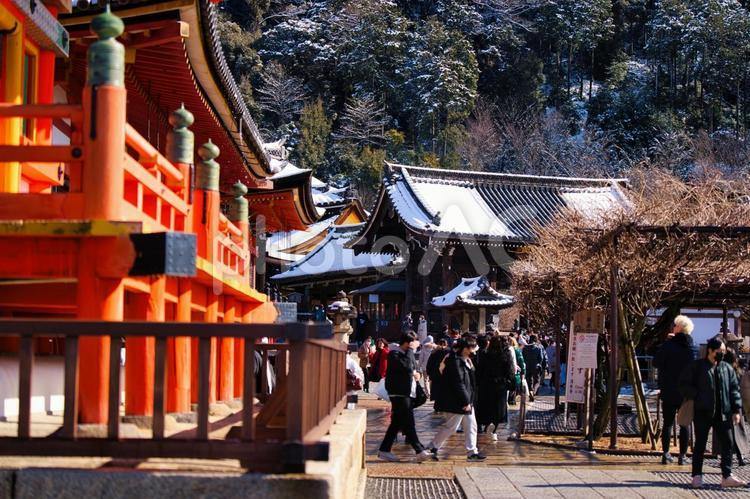 雪の清水寺　三重塔から轟門 清水寺,三重塔,轟門の写真素材