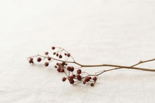 野ばらの実のドライフラワー　上空け 赤い実,ドライフラワー,野ばらの実の写真素材