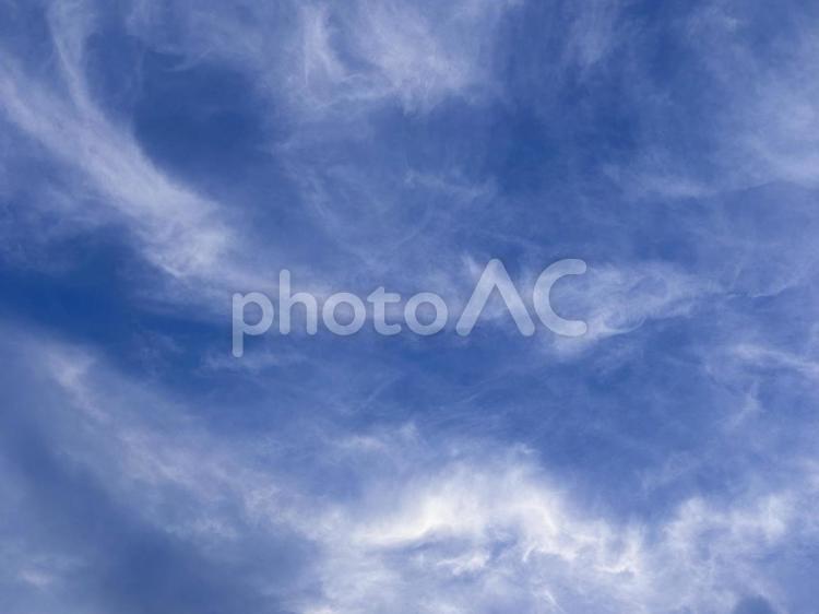 【風景写真】夏空 夏空,空,雲の写真素材