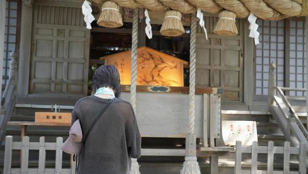 神社にお参りする女性 神社にお参りする女性 女性,後姿,写真の写真素材
