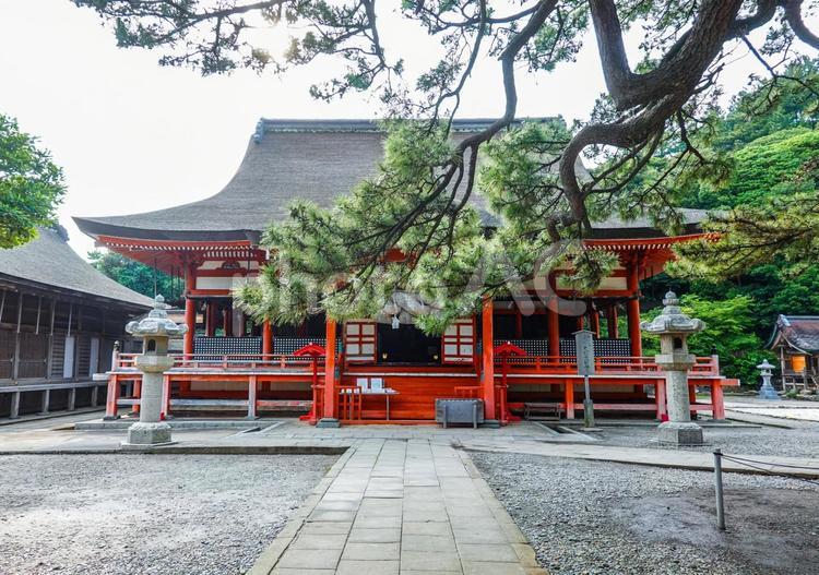 朱に彩られた日御碕神社（鳥取県出雲市） 日御碕神社,みさきさん,重要文化財の写真素材