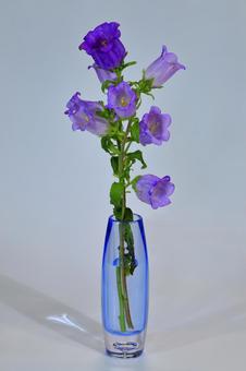 一輪挿しに挿した風鈴草 一輪挿しに挿した風鈴草の写真