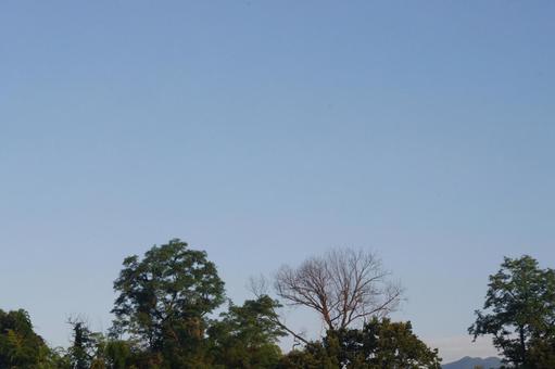 夏空 雲一つない早朝 夏空 雲一つない早朝の写真