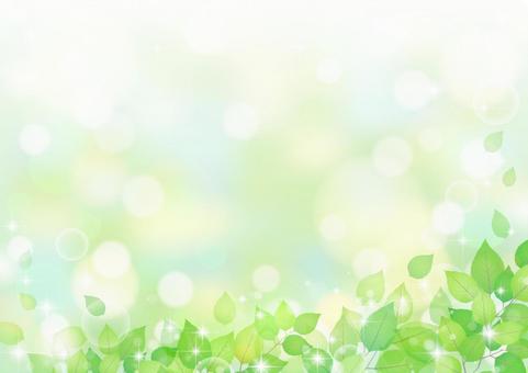 Leaf background / frame, JPG Leaf background / frame, frame, summer, leaf, JPG