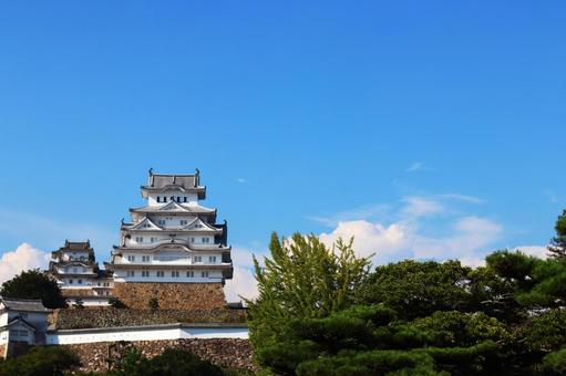 姫路城 姫路城,城,お城の写真素材
