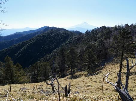 小金沢山の草原と富士山 小金沢山の草原と富士山 小金沢山,大月市,甲州市の写真素材