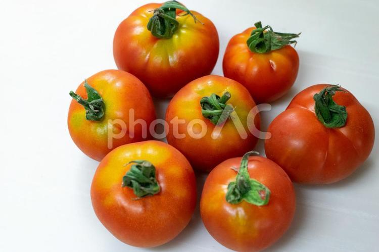 複数のトマト トマト,野菜,夏野菜の写真素材