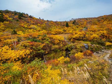 紅葉の栗駒山(須川岳) 紅葉の栗駒山(須川岳)の写真