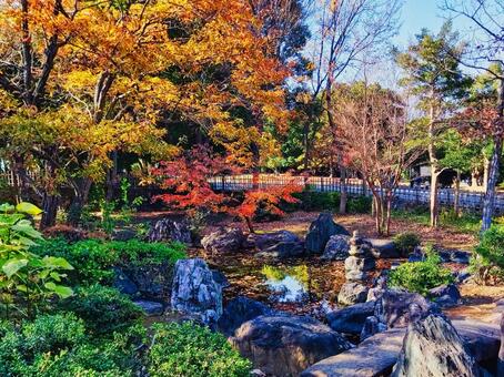 葛西臨海公園内日本庭園 植物,自然,石の写真素材